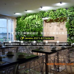 杭州植物墻與綠墻設計施工全解析 從專業(yè)設計到價格咨詢
